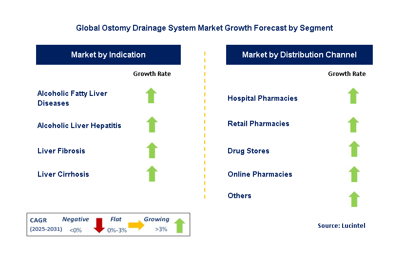 Ostomy Drainage System Market by Segment